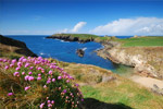 Ireland